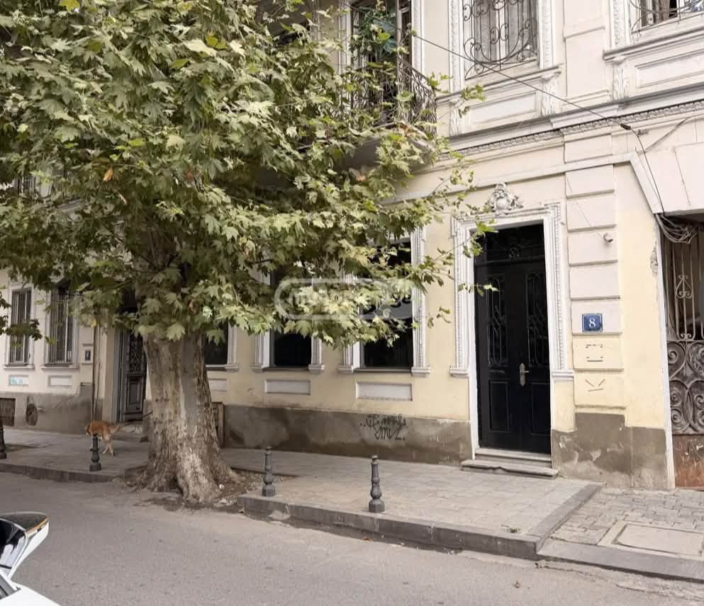 50 m² commercial space for rent on Aghmashenebeli