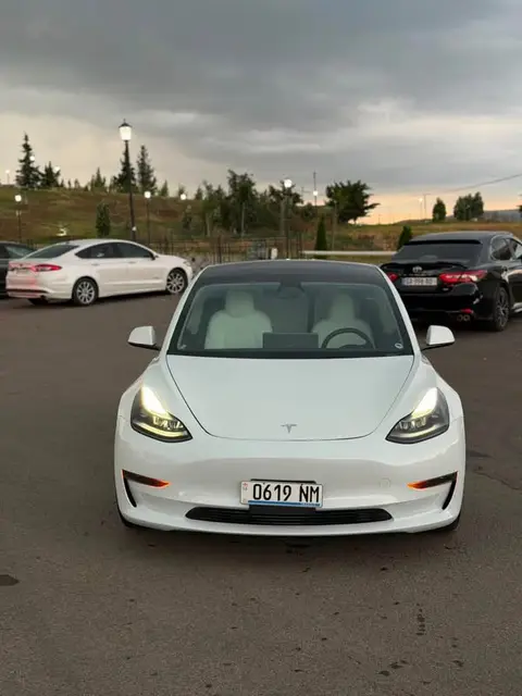 Tesla 2023