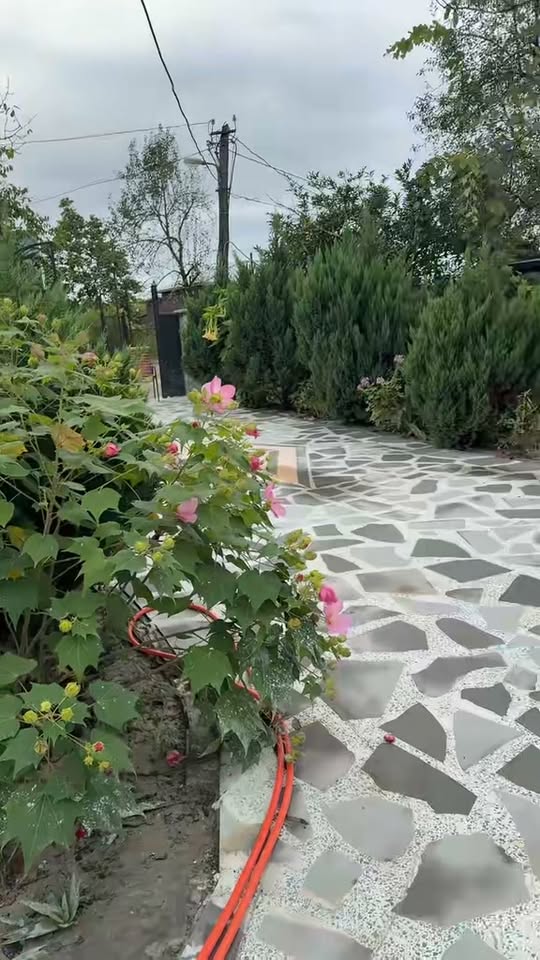 🎉 Doğum günü? 🎂 💍 Nişan partisi