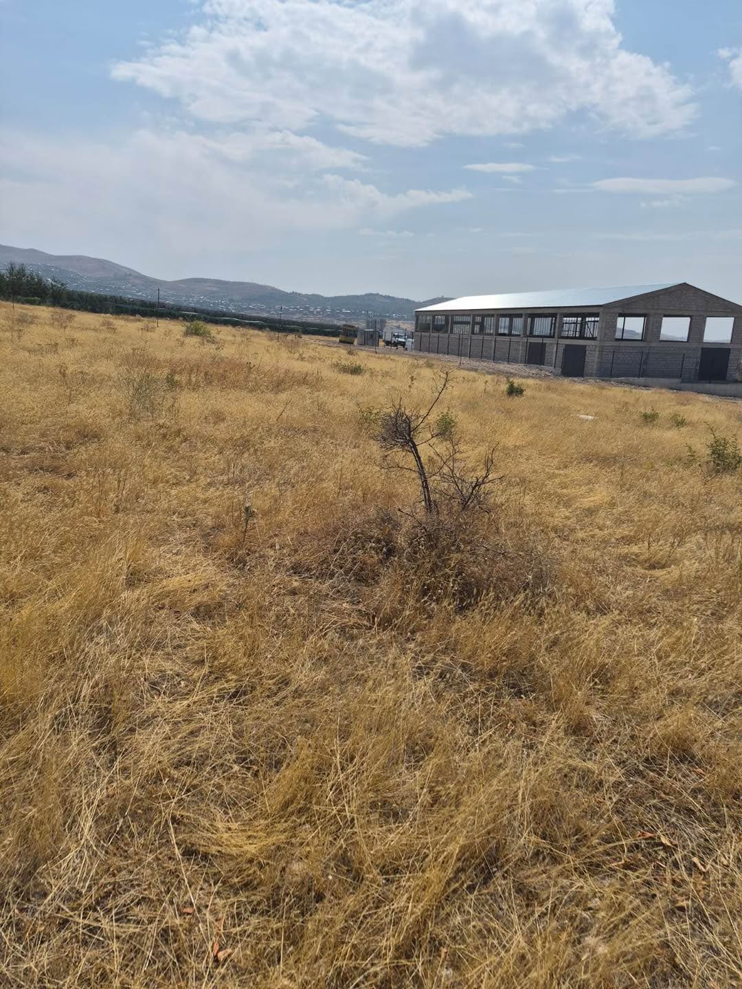 Հարմար դիրք, մեծ մակերես և բիզնեսի 2000