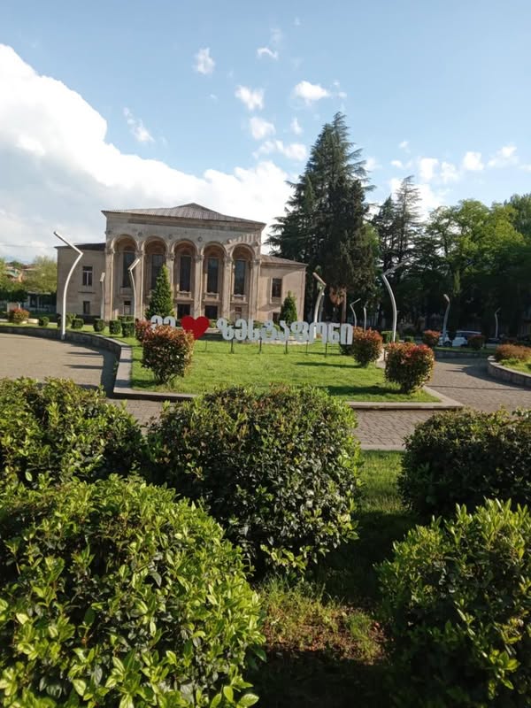 სასწრაფოდ 4800 ლარი 4x4 2.0 2007