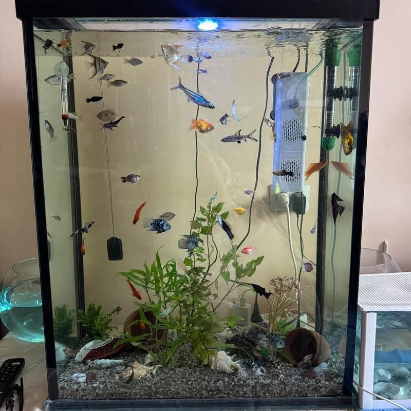 Продается Аква 140 л за 45.000