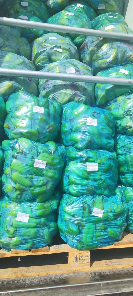 Ucuz fiyata büyük miktarda yeşil satılır