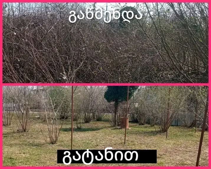 Dalga yaymakla