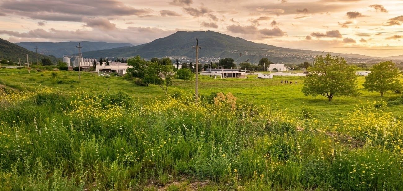 🌿 Sənin prestijli bağ evin Saquramo-da! 800