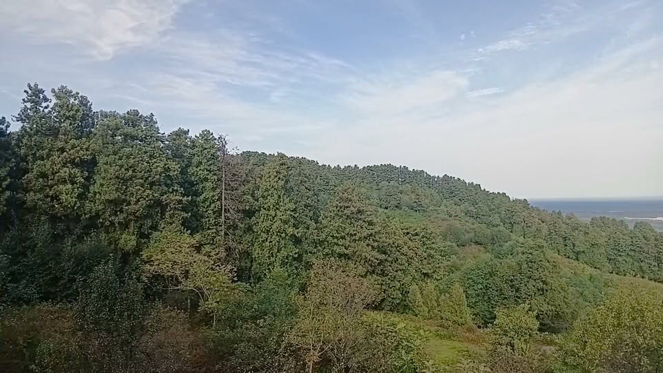 Տորպաղ սահեսի, Բաթումի