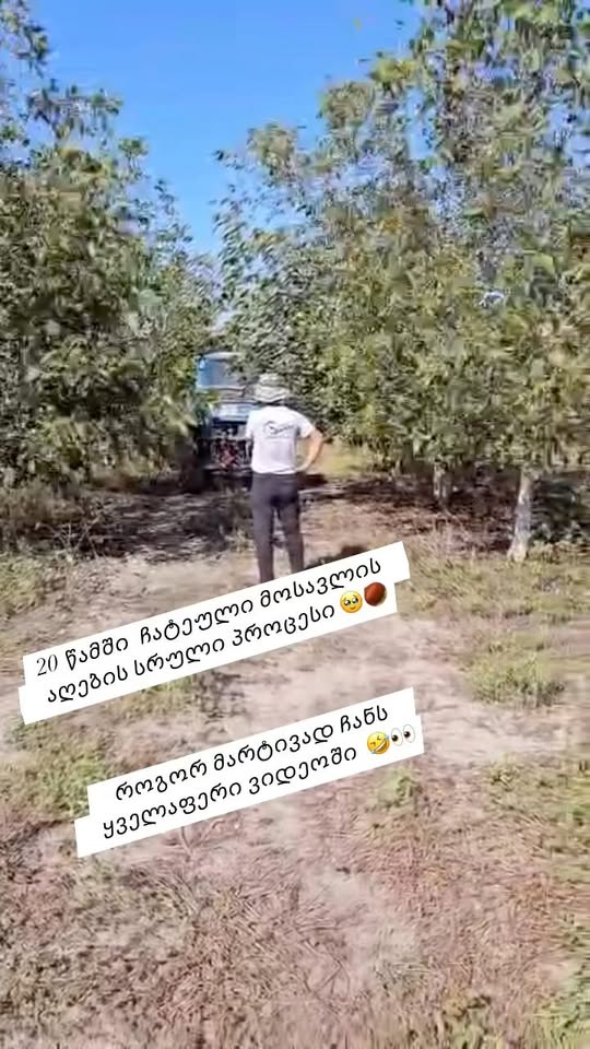 We want to let you know that we have already started selling nuts