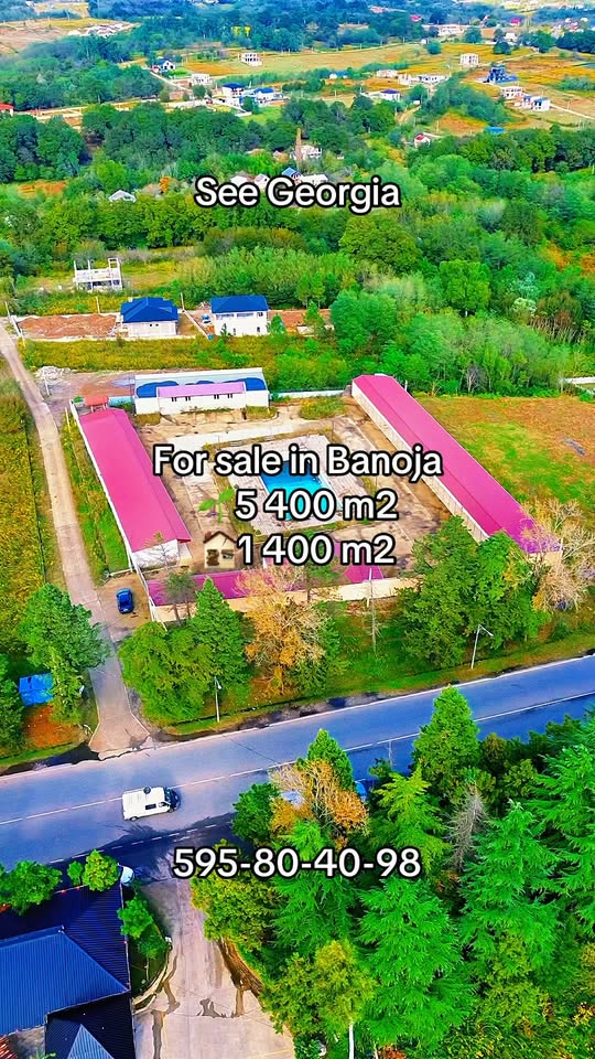 Kommersiya sahəsi, Qütbə