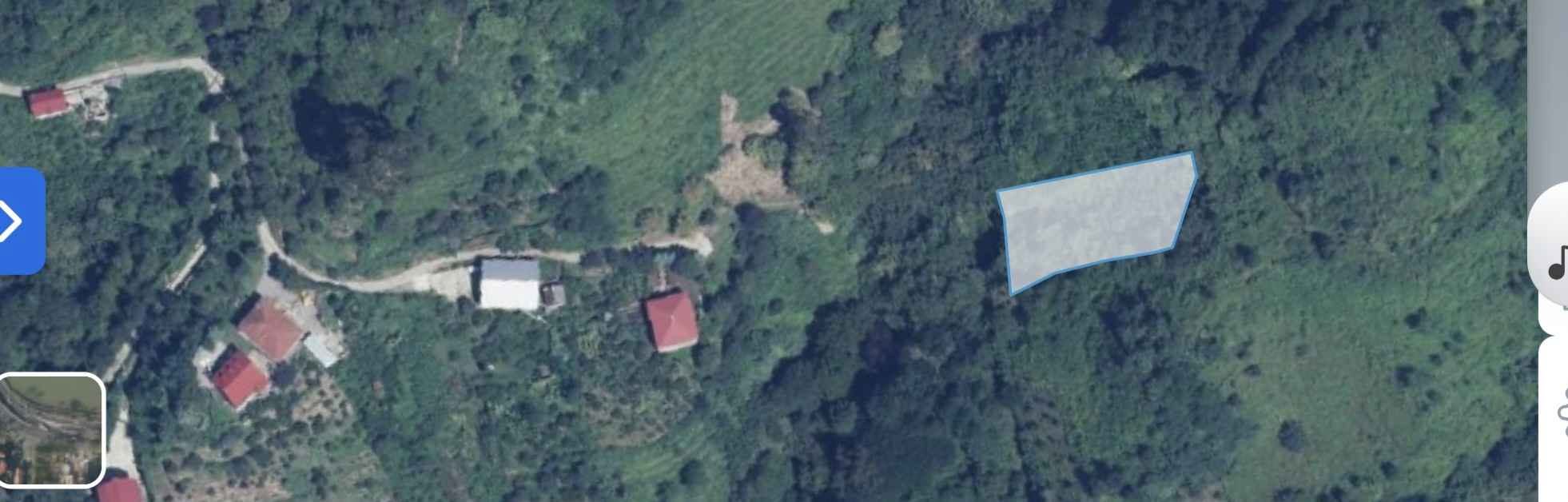 Torpaq hissəsi, Batumi