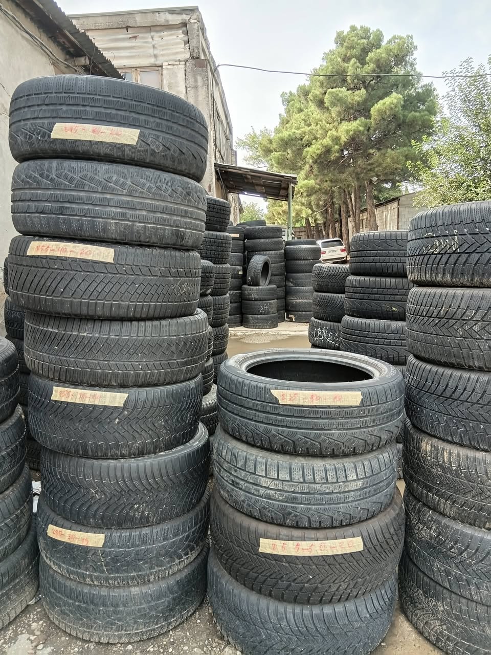 Buy tires cheaply while they are on sale