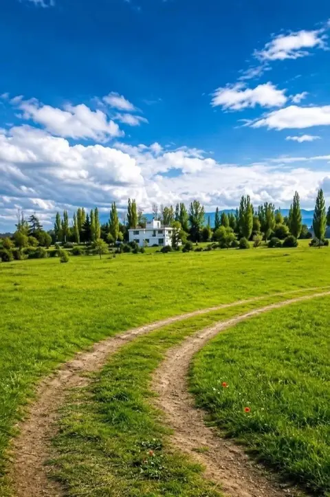 Torpaq sahəsi, Tbilisi