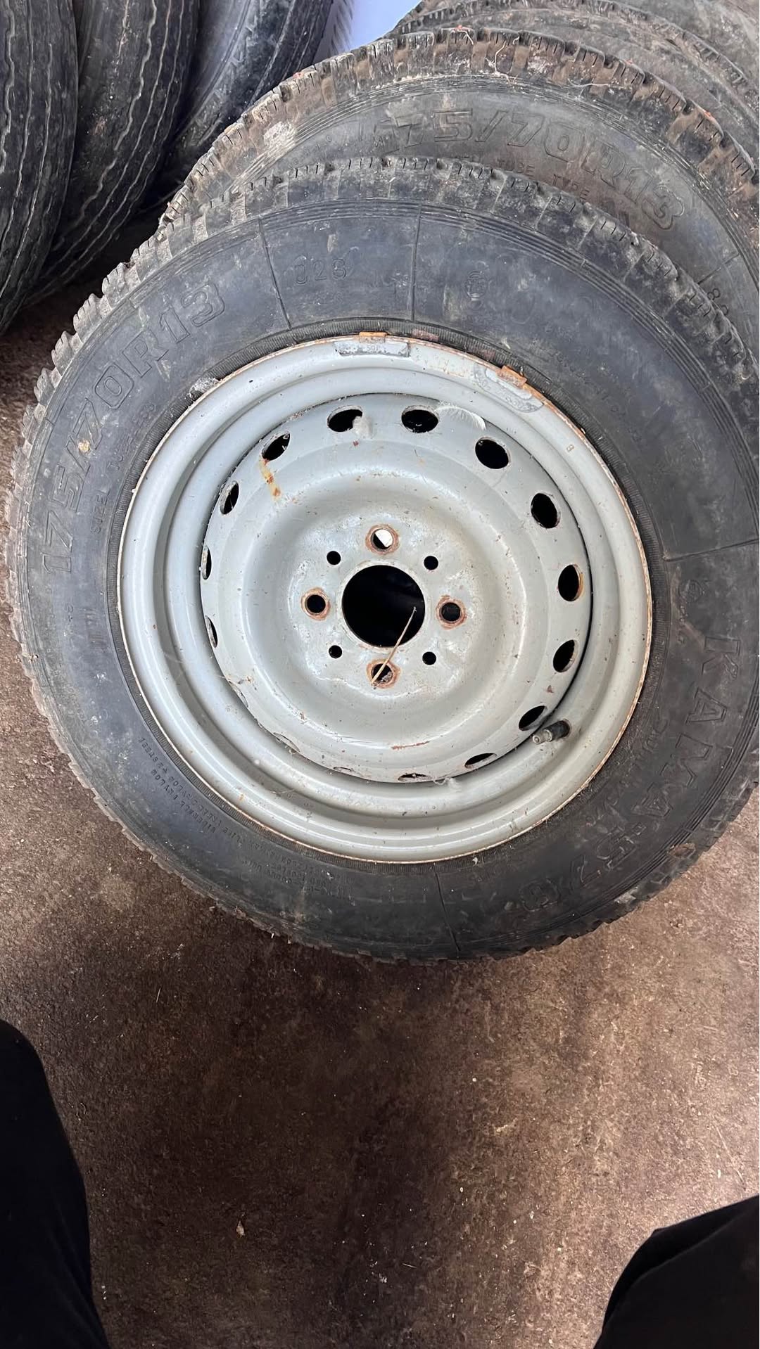Satılık saburavler. Rusya'dan ithal edilmiştir, çok az sayıda vardır.