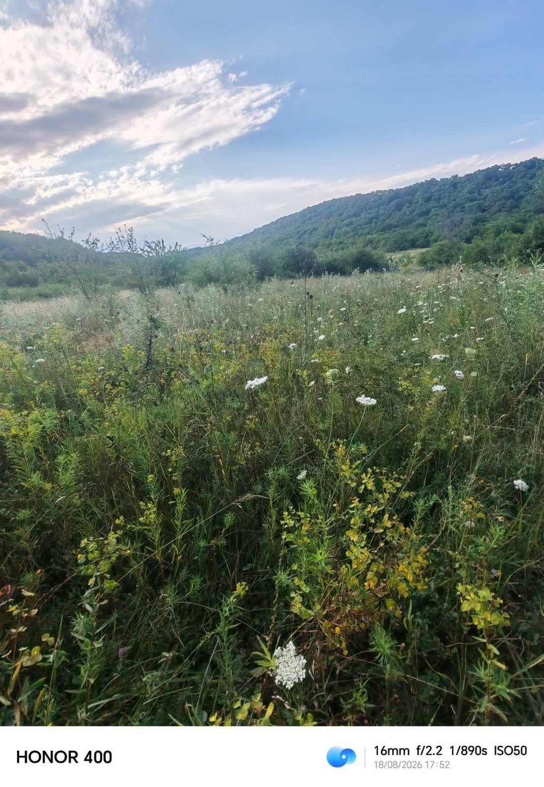 Land plots are for sale in Ujarma for 10,000$