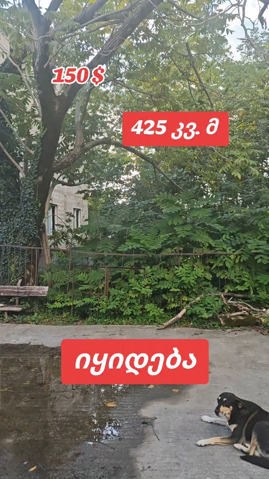 Plot of land, Khelvachauri — $150