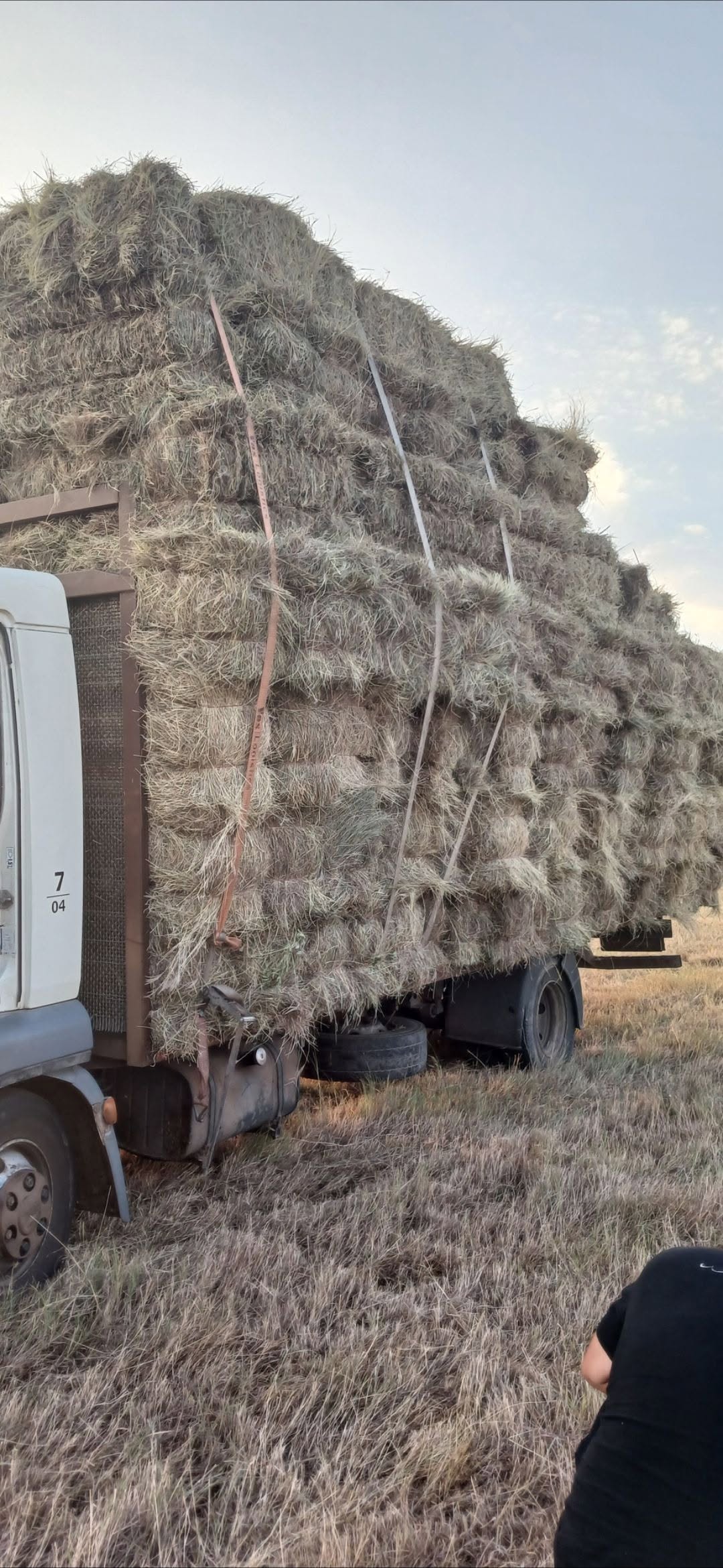 The car has been left in Chkhorotsku, 90 pieces of bread remain