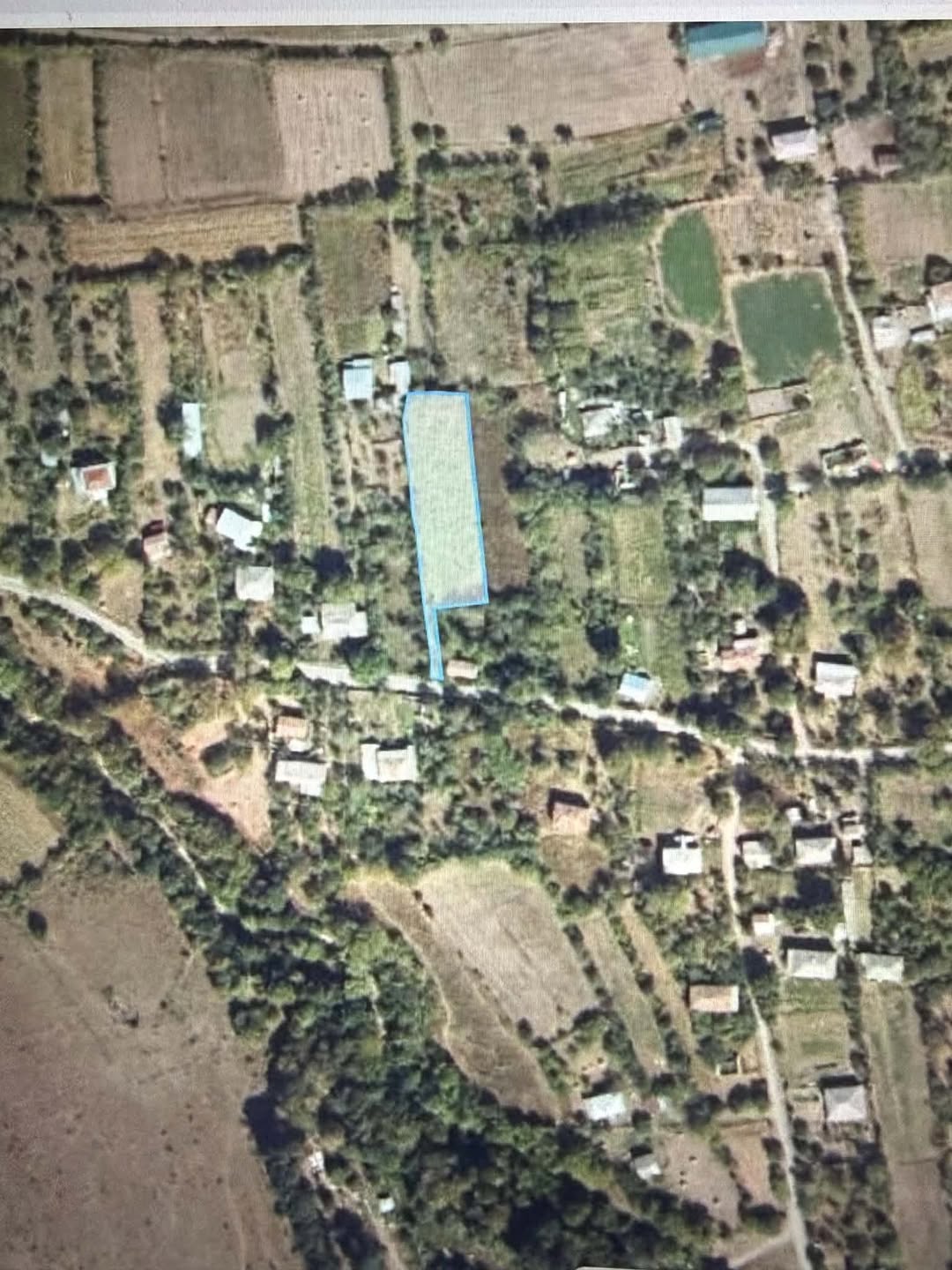 🏡 Arazi parçası satılık! 📍 Tianeti - 14$