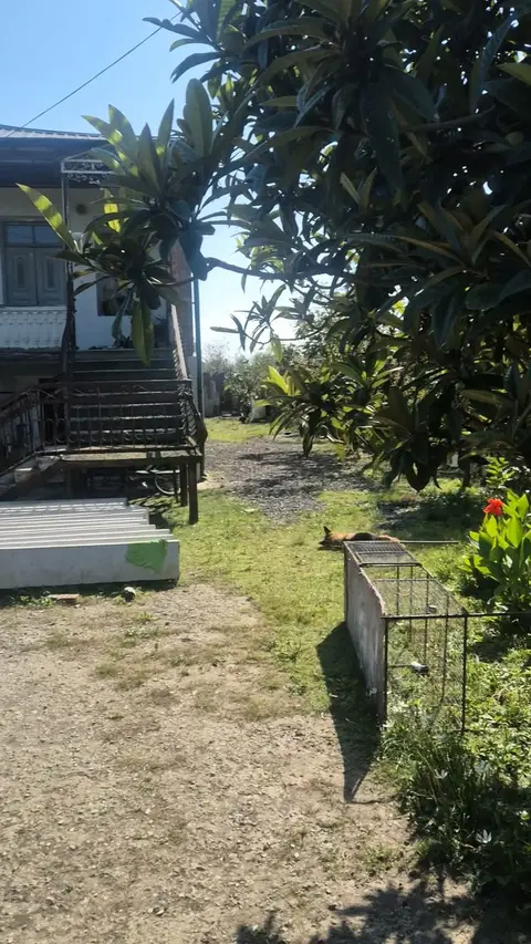 Həyət evi, Tskaltubo — $35,000