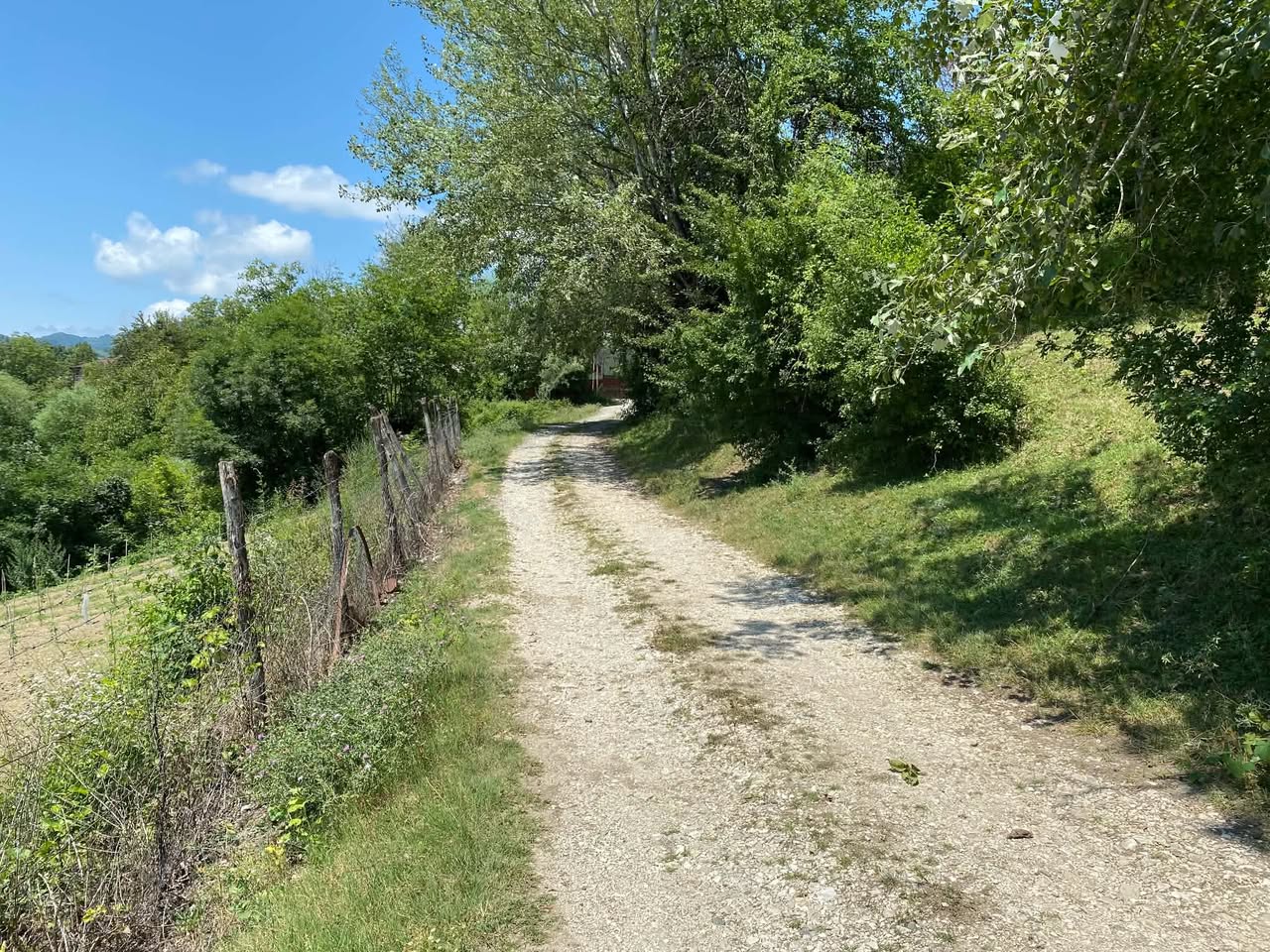 Arazi parçası, Ambrolauri — $12