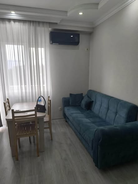 Kiralanıyordur daire, Tiflis