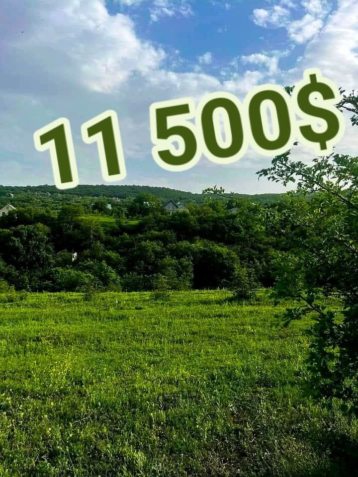 Arazi, Tiflis — $11,500