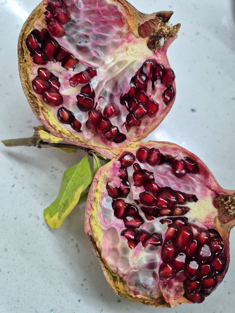 Satılır şirin və qırmızı brokoli, qiymət — 4₾