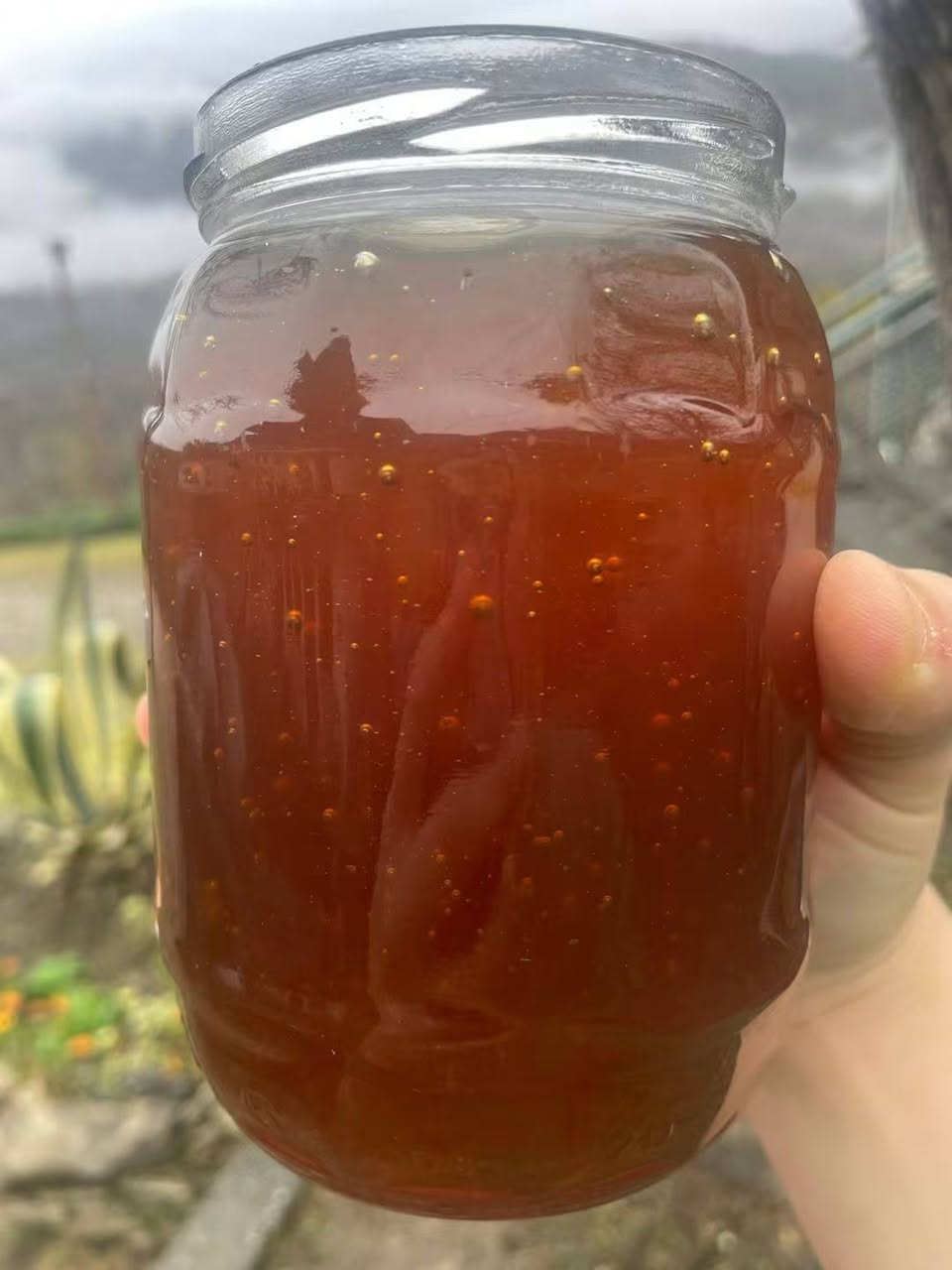 Lakaduri Dağı Balı 1 litre