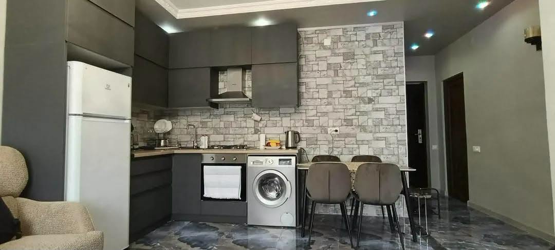 1+1 apartment for rent near Grand Mall — $575