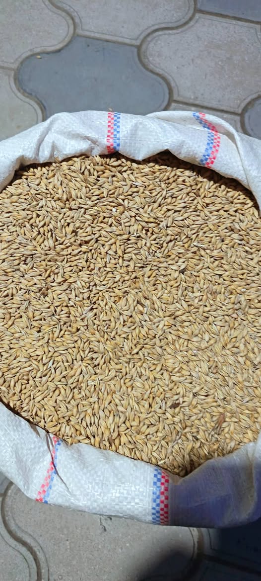 Wheat and barley are sold and delivered to your home