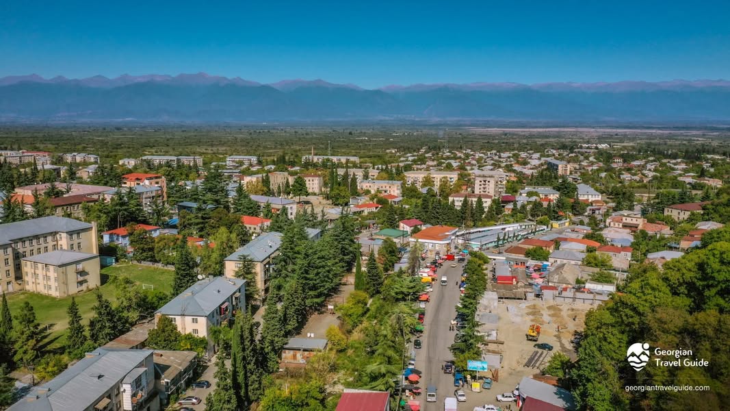 მყავს ბრიგადა დავდივართ ბროწეულის კრეფაზე და