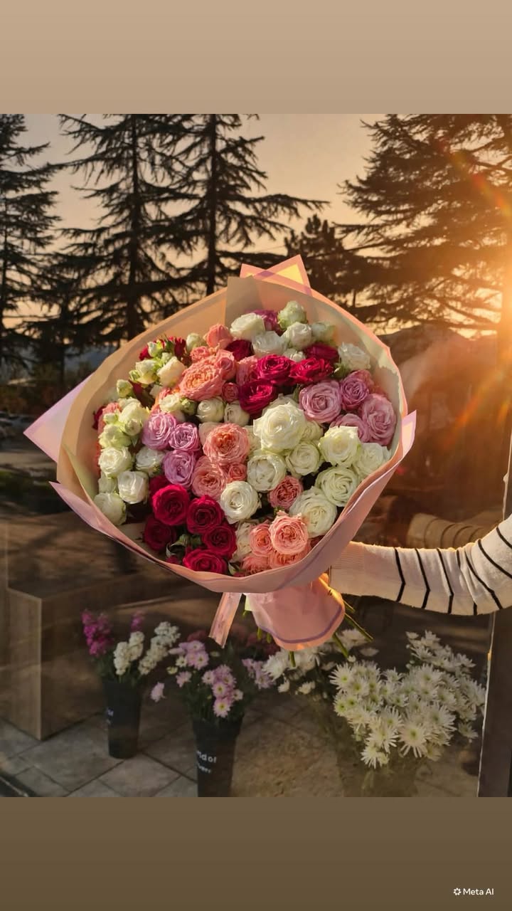 💐 Ցանկալի թայգուլի ձեռք բերման համար մեզ գրեք անձնական
