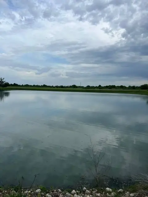 Torpaq sahəsi, Gurjaani