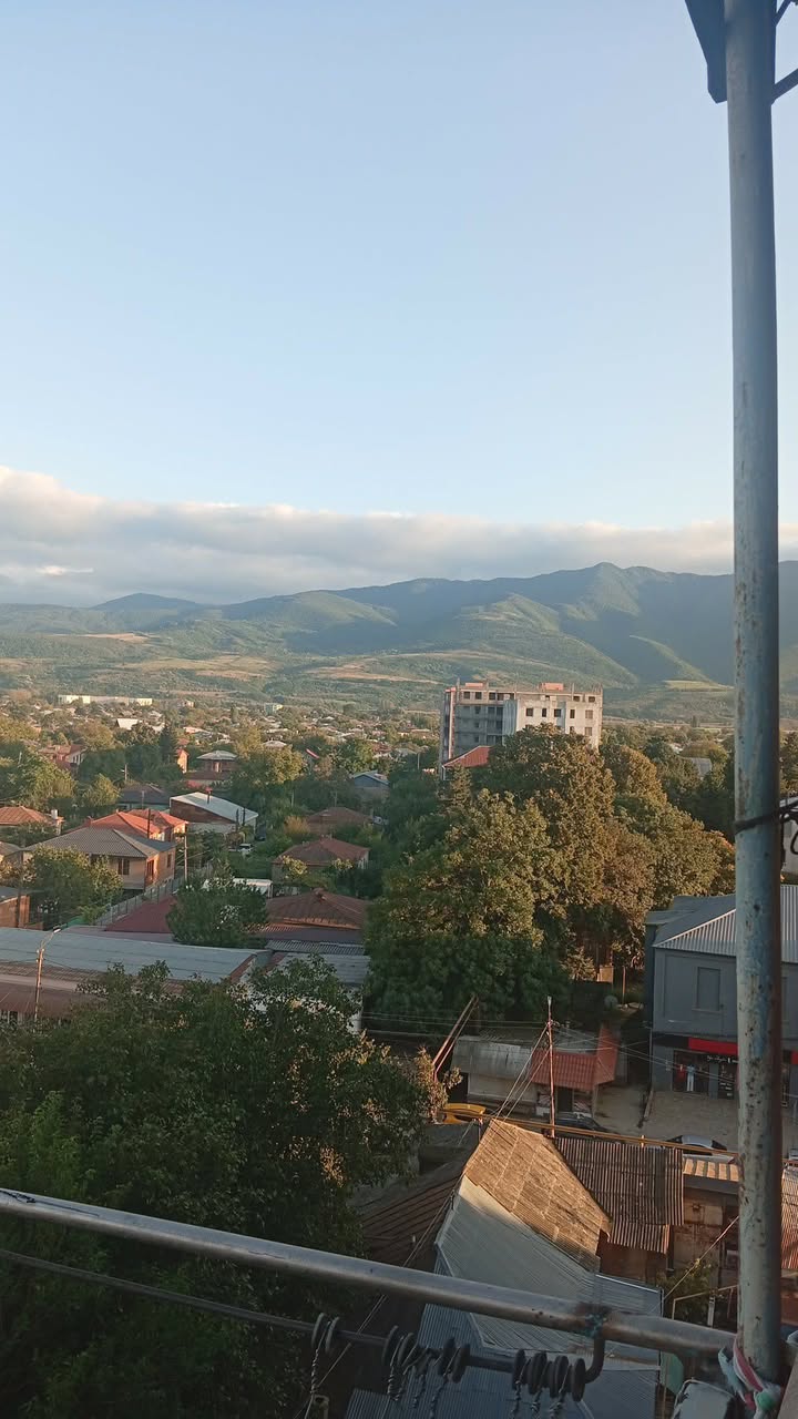 Satılık daire, Haşuri