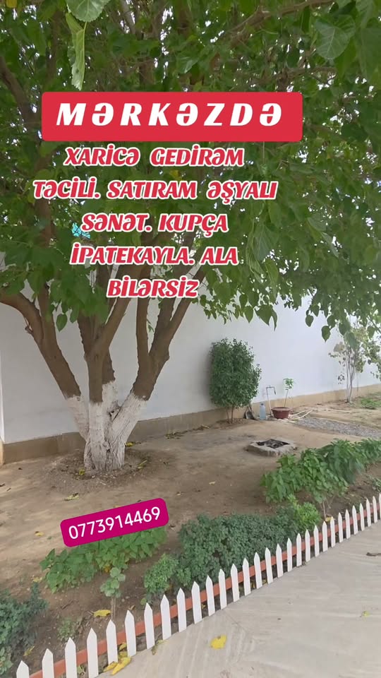 Mənzil