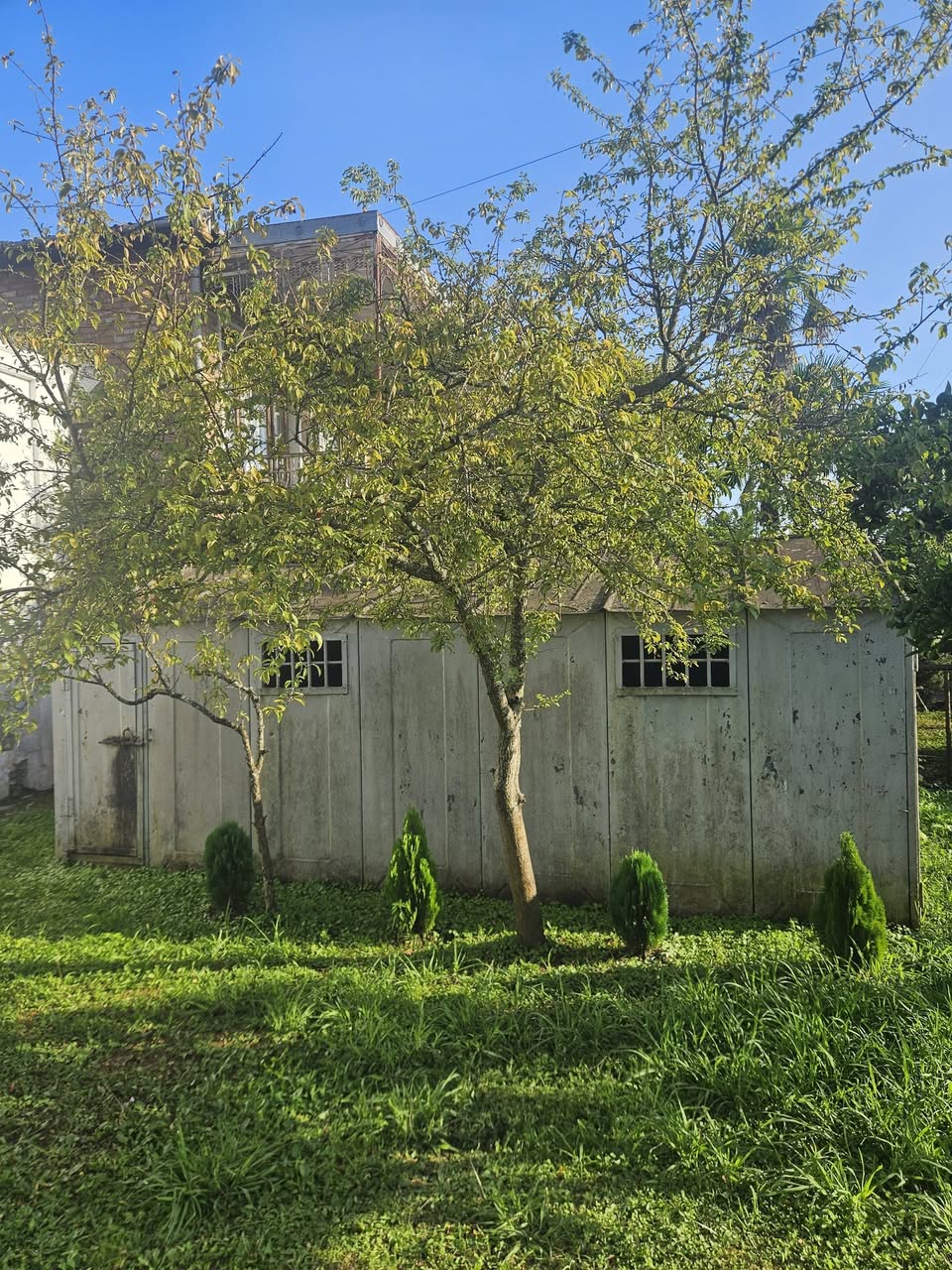 Avtofarəx, Abaşa — 3,200 ₾