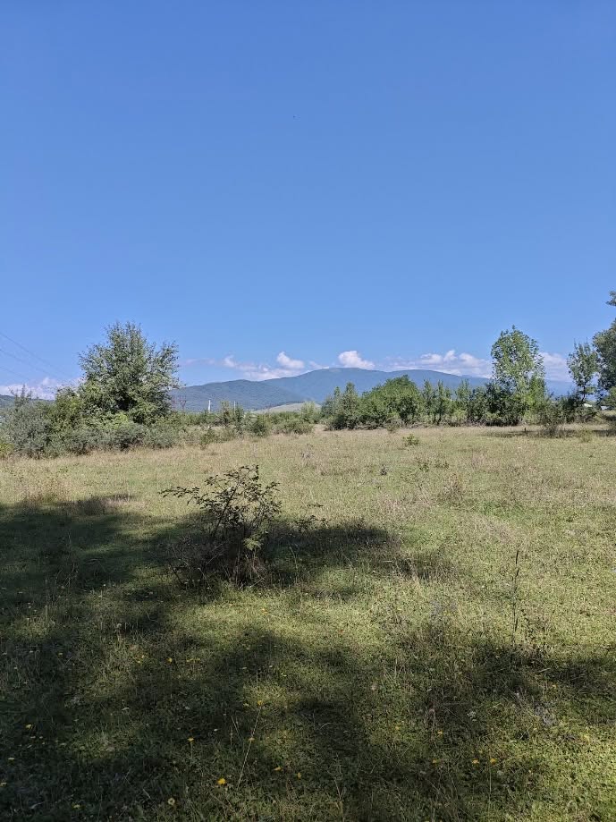 მიწის ნაკვეთი, თიანეთი