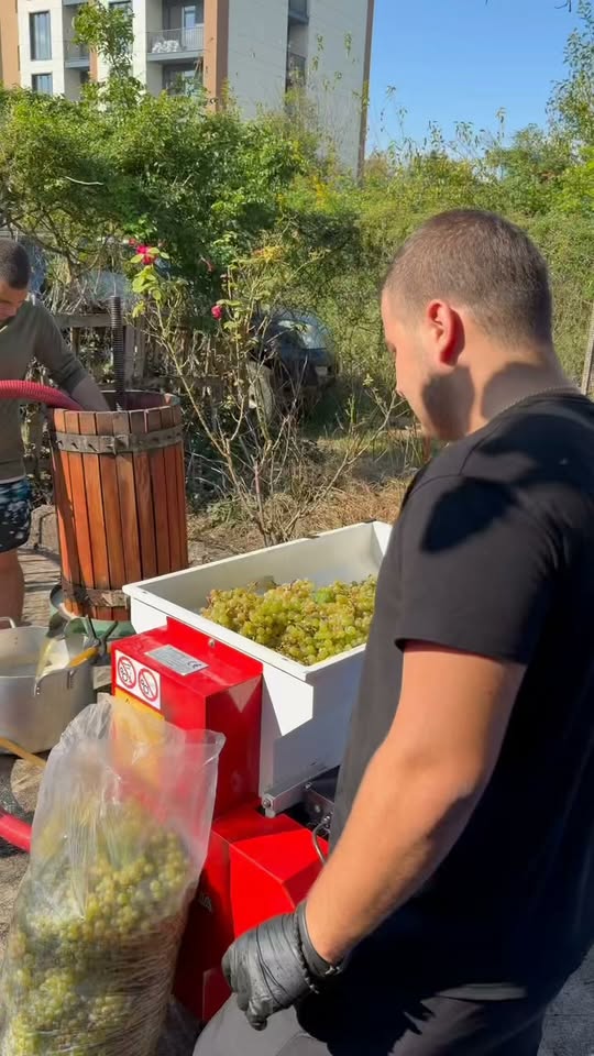 Կլերտսացլելիի և մամուլի ծառայության վայր🍇🍇🍇