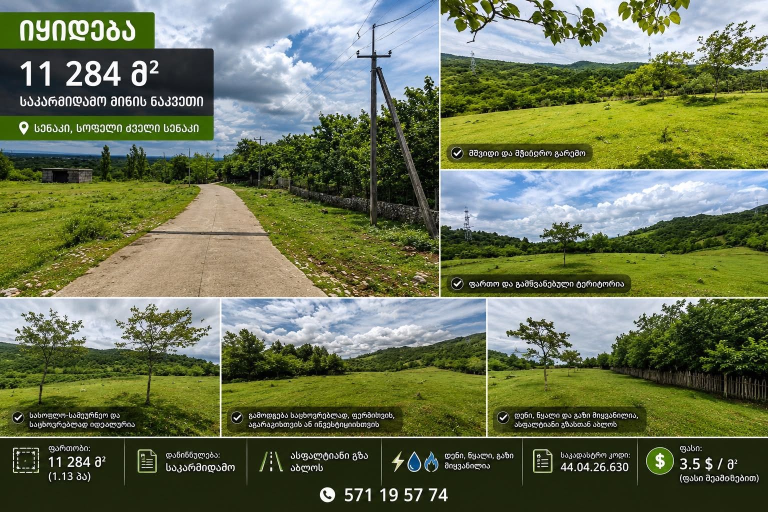 Land plot, Senaki — $39,000