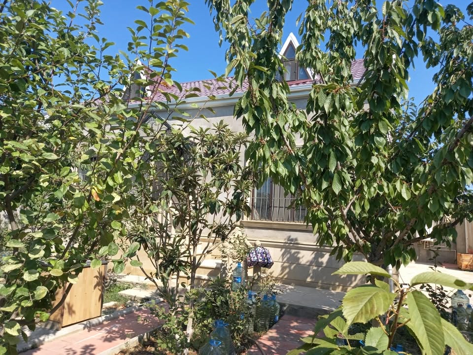 Hayat Evi, Bakü