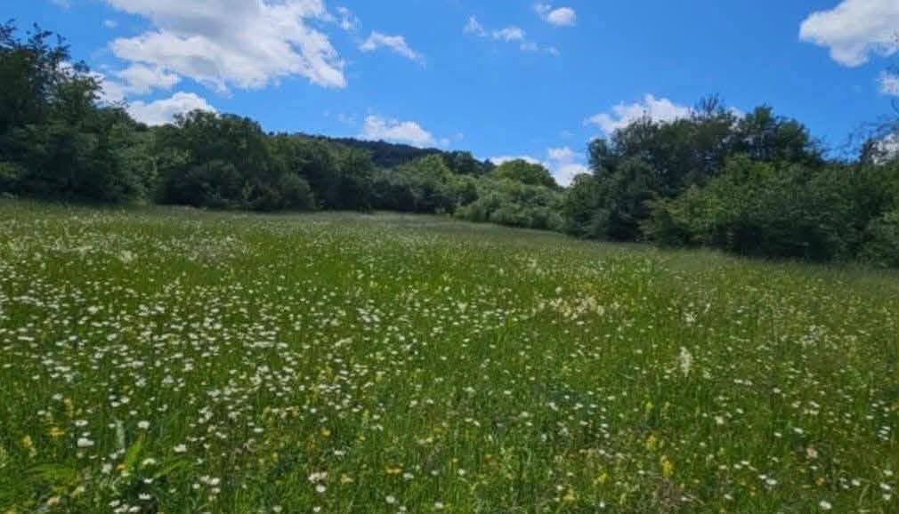 Land plot, Terjola — $3