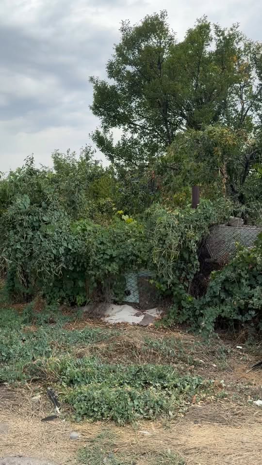 Torpaq sahəsi, Armavir — 12,000,000 ֏