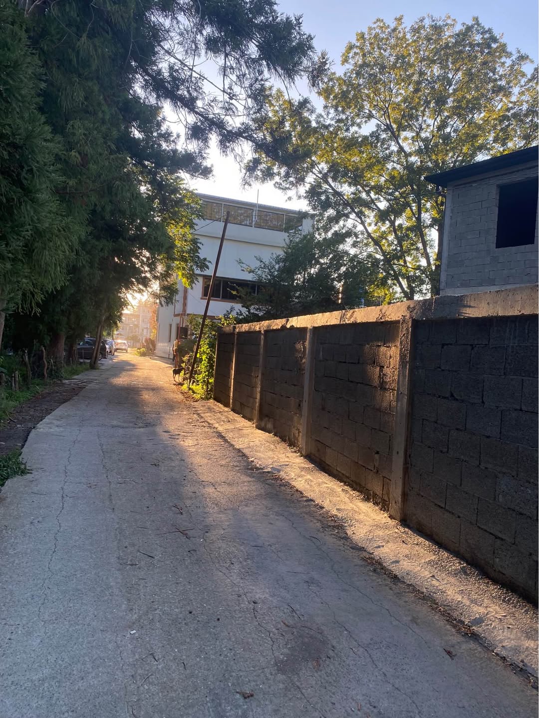 Land plot for sale urgently in Khelvachauri, new