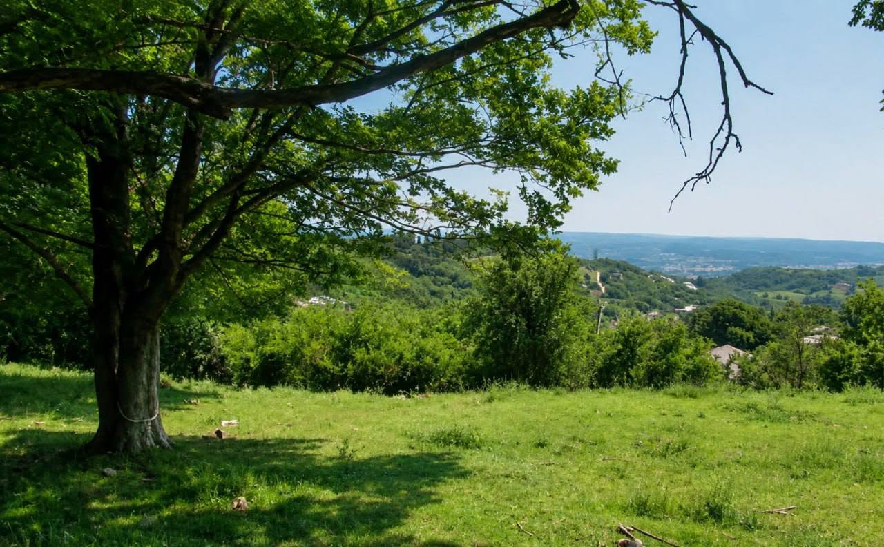 🏞 Gürcistan'da tarımsal olmayan bir arsa satılık —