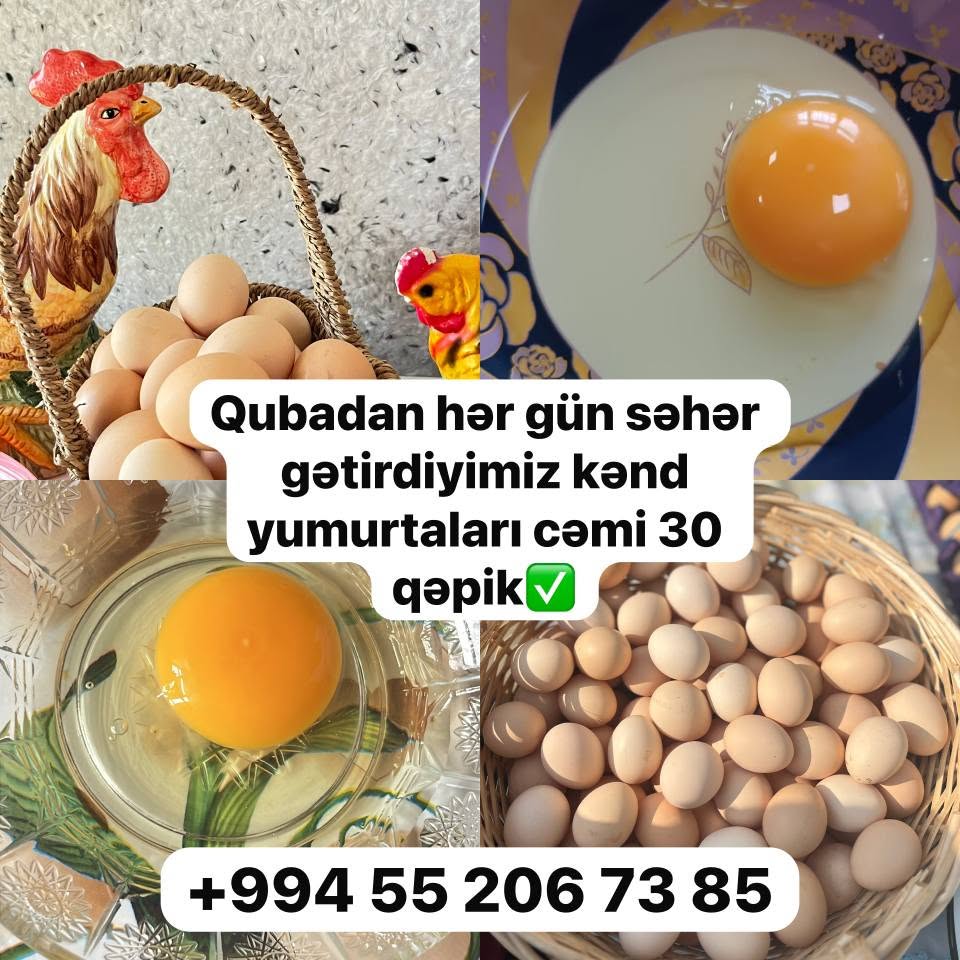 Kənd yumurtası, Qubadan Bakıya
