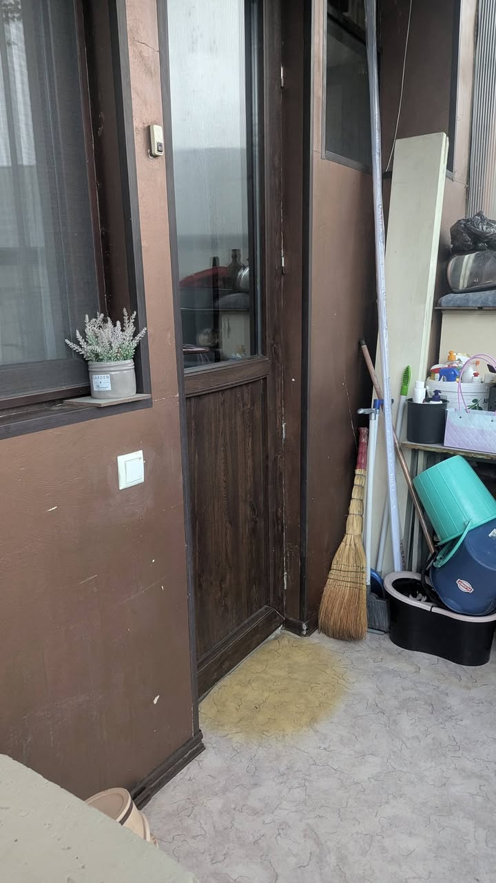 Сдается квартира, Тбилиси — 800 ₾