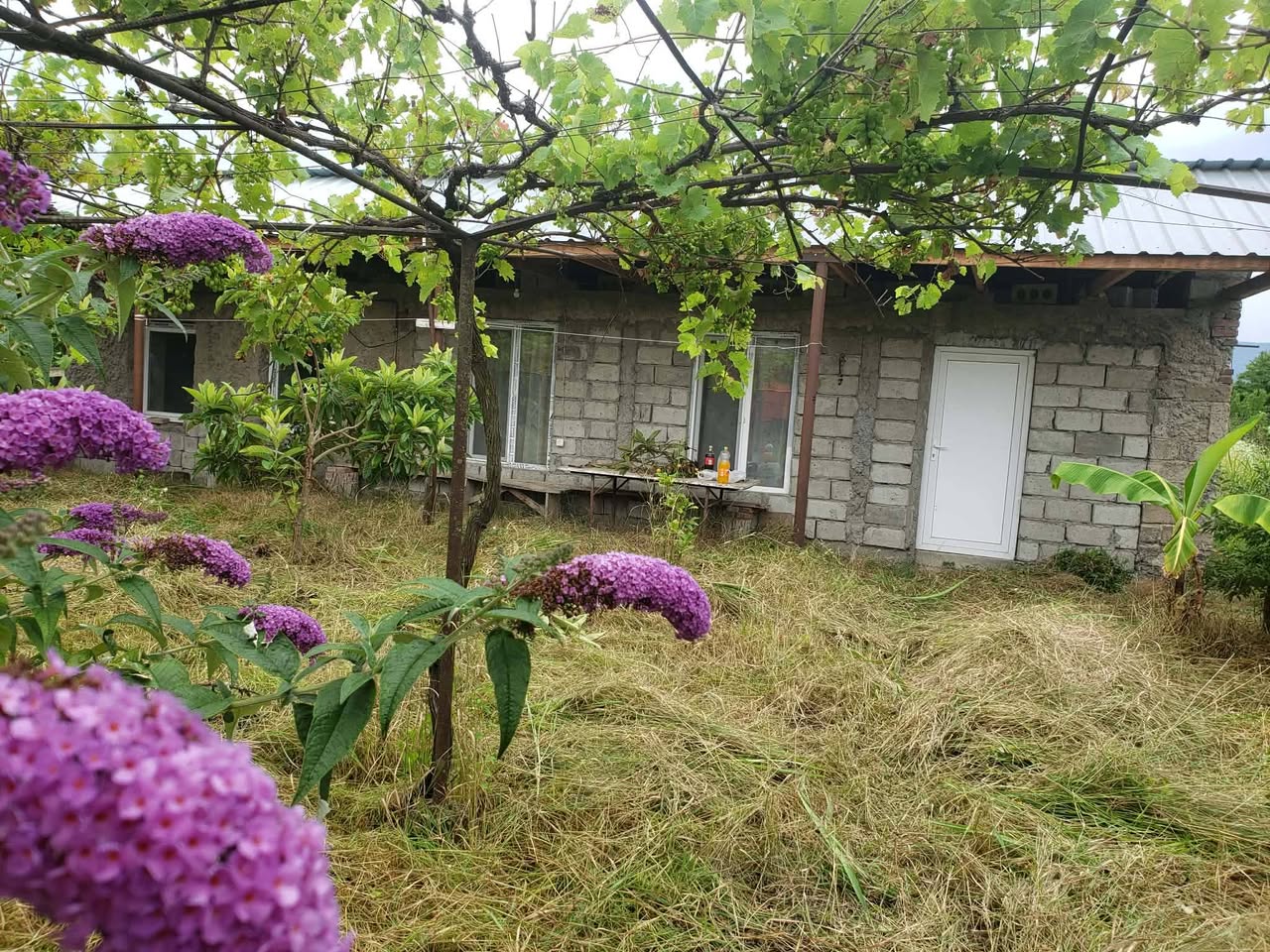 House, Akhmeta