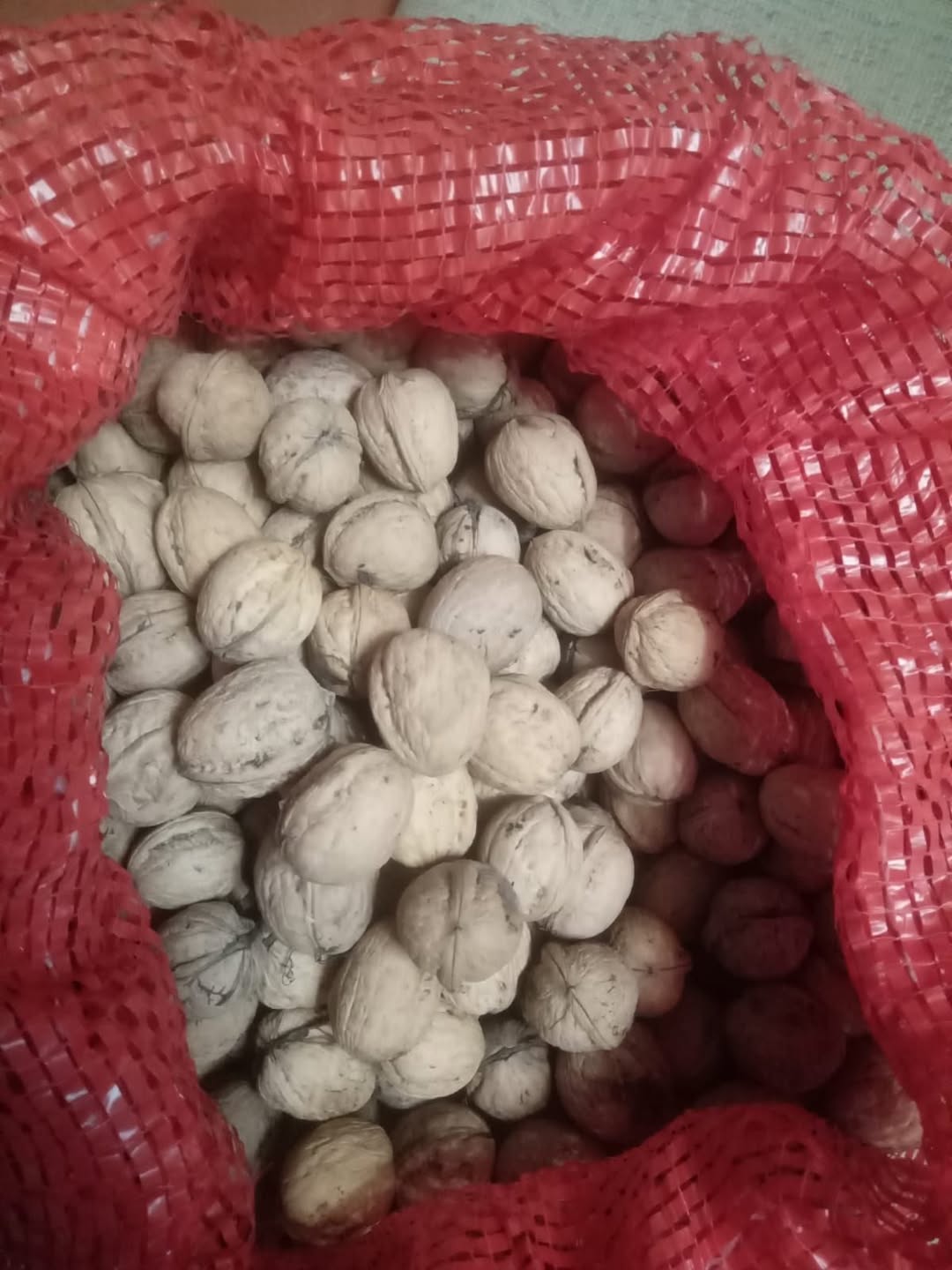 This year's walnut is for sale, medium size, thin - 1,000֏
