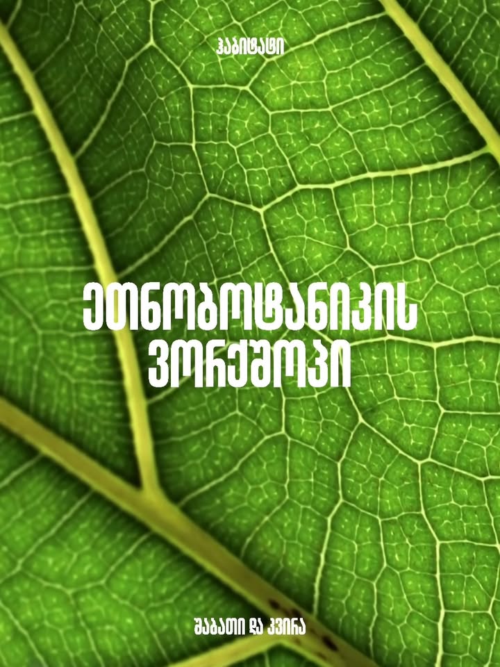 🍁შემოგვიერთდი ეთნობოტანიკის შემოდგომის ვორქშოპზე და აღმოაჩინე
