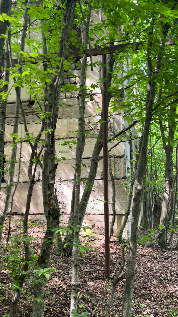 Near the forest, at the Vake-Saburtalo turn, 25 - 62,000$