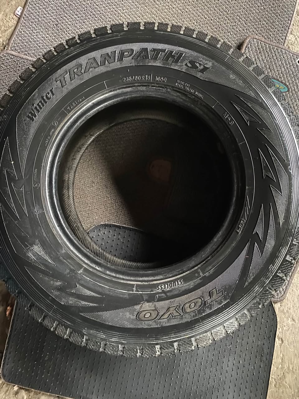 Ճապոնական R15