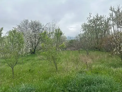 Toprak